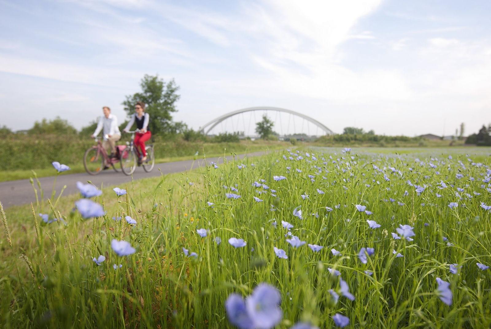 Vlassafari in de Leiestreek (38 km)