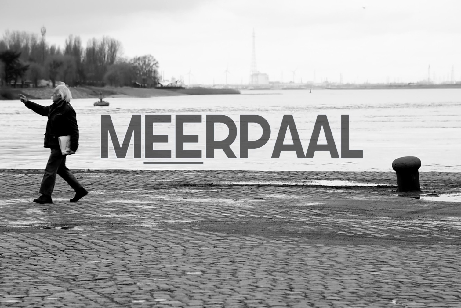 MOOR POLLAR
