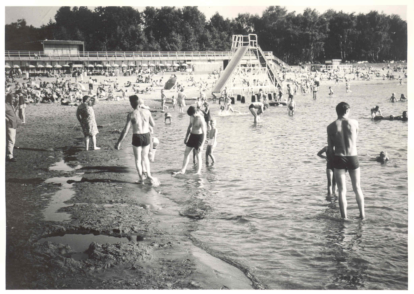 Zomerwandeling 'Hofstade Plage'