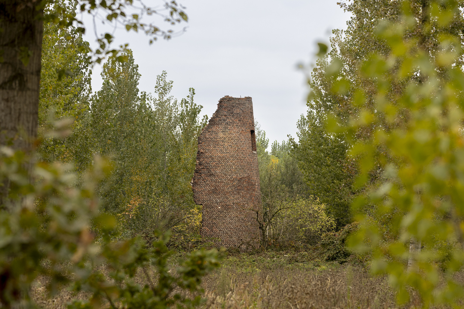 Mola's Molenjacht